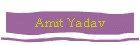 Amit Yadav