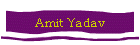 Amit Yadav